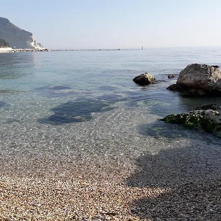 Marche * Castelfidardo